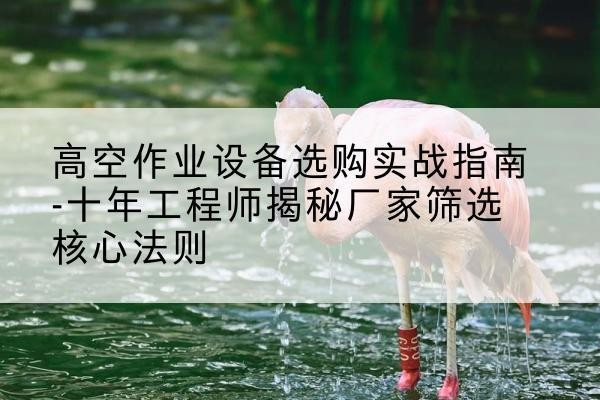 郊区剪叉式升降机厂家-高空作业设备选购实战指南-十年工程师揭秘厂家筛选核心法则